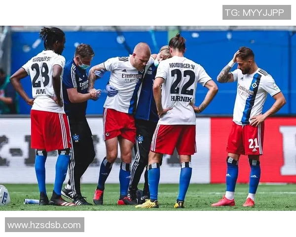 2019年汉堡对桑德豪精彩对决回顾与分析