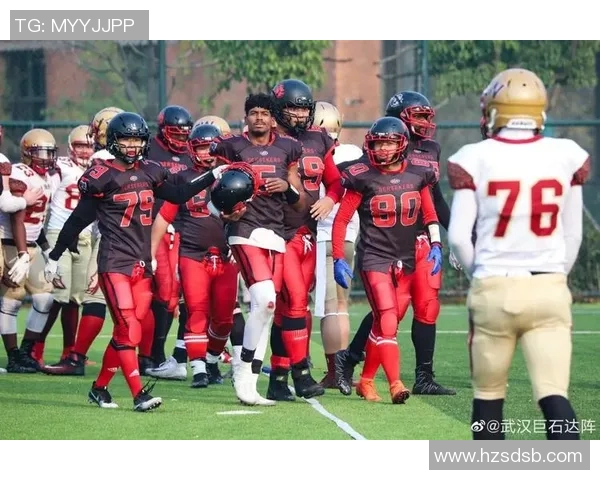 埃梅莱克对决强敌全力争胜精彩赛事前瞻与分析