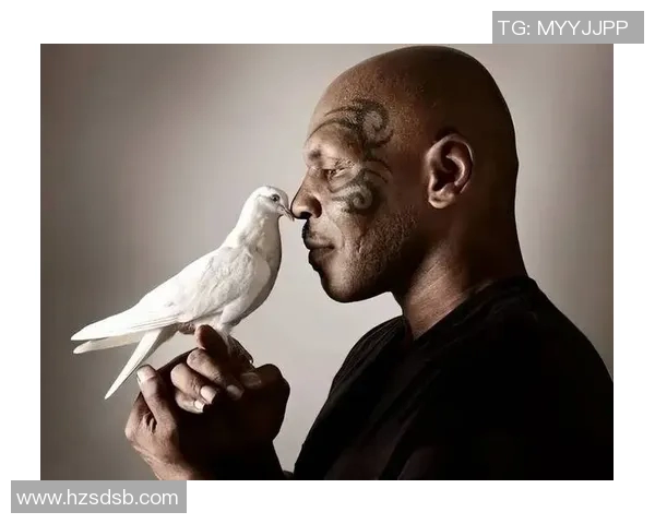 泰森与小罗伊琼斯拳击赛延期引发拳迷热议与期待