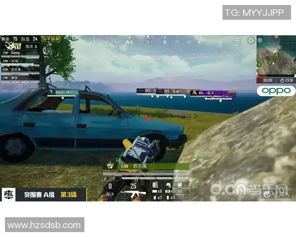 和平精英战术解析：深入探讨WE战队的区域防守策略与技巧