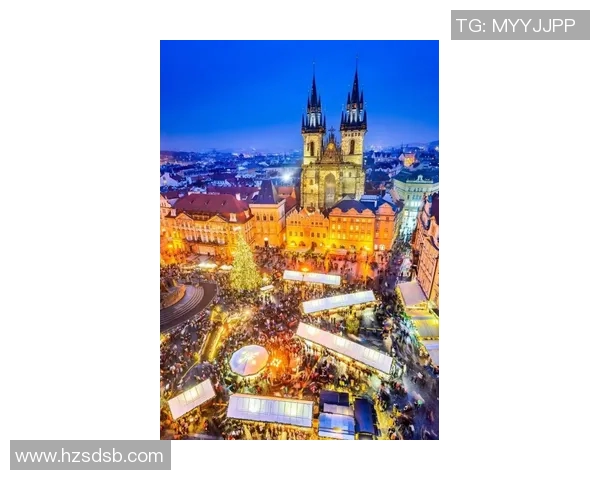 布莱克尼的魅力探秘：揭示这座城市的历史与文化之美