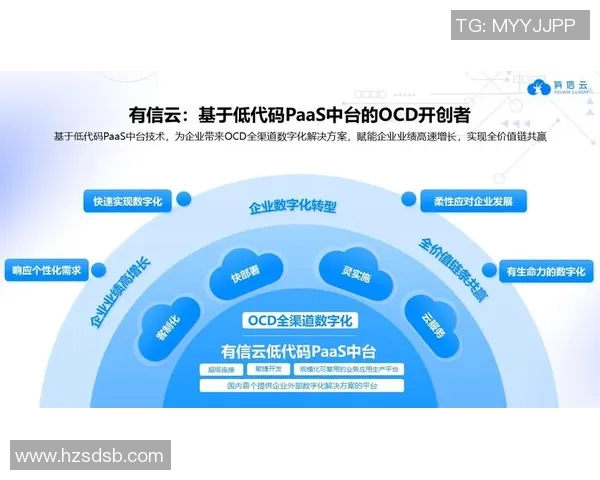 上海排球队转型升级之路：探索新战术与团队协作的深度融合